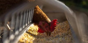 Stoke Climsland poultry farm 'amendments' get green light 