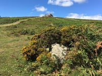 Fight January blues with an escape to Dartmoor