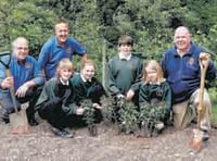 Holly trees part of worldwide aim