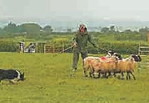 Popular sheepdog trial at Plasterdown