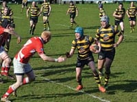 Bit of a bonus for Tawton