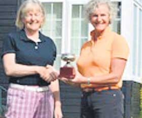 Yelverton lady golfers revel in the sunshine
