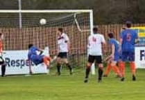 Lambs comfortable against Witheridge