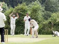 Middle order collapse costs Yelverton Bohemians dear