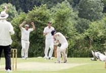 Middle order collapse costs Yelverton Bohemians dear