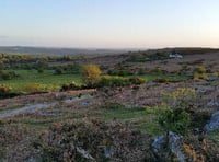 Dartmoor National Park's visitor centres win tourism award