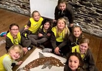 Tavistock Brownies raiding their piggy banks to help the Whale and Dolphin Conservation Charity