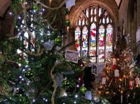Record year for Tavistock's Christmas Tree Festival