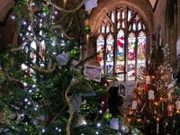 Record year for Tavistock's Christmas Tree Festival
