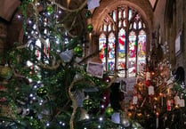 Record year for Tavistock's Christmas Tree Festival