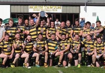 Celebrations for North Tawton in plate