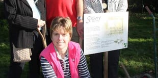 Cash boost for Tavistock Sensory Garden