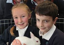 Ruby the rabbit joins South Tawton Primary