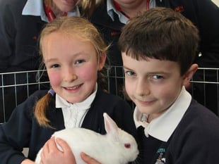 Ruby the rabbit joins South Tawton Primary