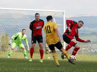 St Dominick in dominant form
