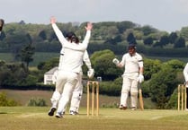 Manning whallops 120no for Tavistock