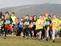 Schools get Down for cross country