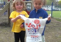 Bags boost for Tavistock groups