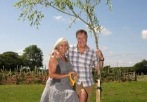 Bondleigh sculptor plans 1,000 trees at his studio site