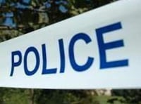 Recycling centre theft and dangerous dog feature in #newsfromtheblues crime page
