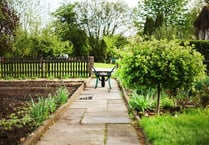 Allotments could be on the cards at Mary Tavy