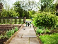 Allotments could be on the cards at Mary Tavy