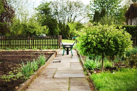 Allotments could be on the cards at Mary Tavy