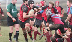 Disappointment for Tavistock firsts but credit to battling rugby Colts