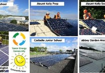 Prestigious award for Tamar Energy Community project