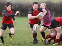 Tavistock meet their Waterloo against top of table Wellington