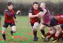 Tavistock meet their Waterloo against top of table Wellington