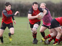 Tavistock meet their Waterloo against top of table Wellington