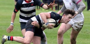 Defeat with honour for Mount Kelly in bowl