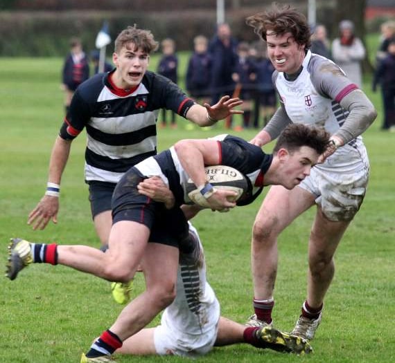 Defeat with honour for Mount Kelly in bowl