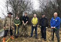 Okehampton Rotary Club members help town's RAF cadets plant 50 trees