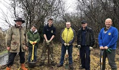 Okehampton Rotary Club members help town's RAF cadets plant 50 trees