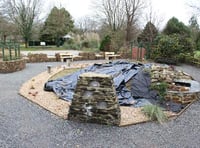 Hard work of Tavistock's Community Gardening Team acknowledged by RHS
