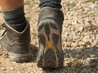 Hatherleigh trail part of six new walks launched by Beaford Arts