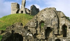 Okehampton Castle to hold 101st Bluebell Sunday celebrations this weekend