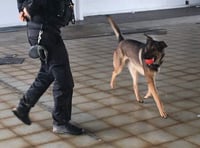 Spending a day with Devon and Cornwall's police dog unit