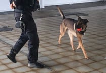 Spending a day with Devon and Cornwall's police dog unit