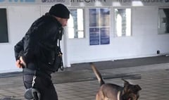 Spending a day with Devon and Cornwall's police dog unit