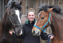 Bere Alston's Martha Miles enjoys great success in winter dressage finals