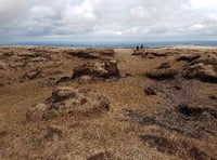 Peatland protection project causes concern with local farmers