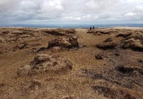 Peatland protection project causes concern with local farmers
