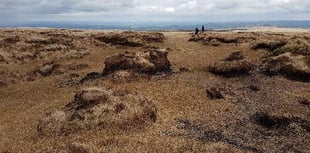 Peatland protection project causes concern with local farmers