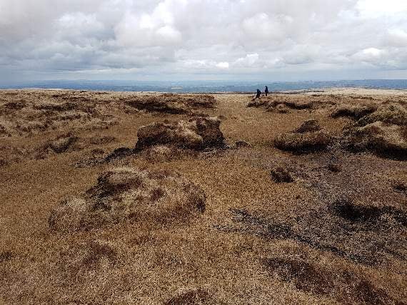 Peatland protection project causes concern with local farmers