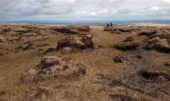 Peatland protection project causes concern with local farmers