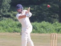 Gray hits magnificent ton and a half in run riot against Ipplepen