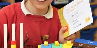 Lydford Primary's Otis top the class after receiving gold national award